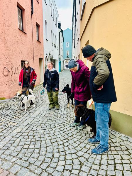 Training mit Hunden in einer Altstadtgasse