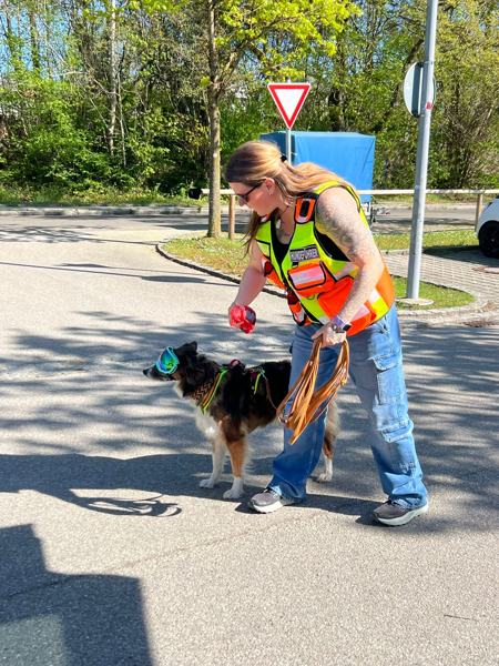 Evi beim mobilen Training mit einem Hund am Straßenrand