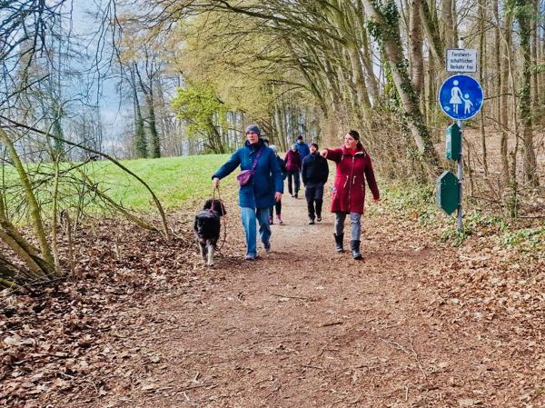 Social Walk – Gruppe unterwegs auf einem Waldweg