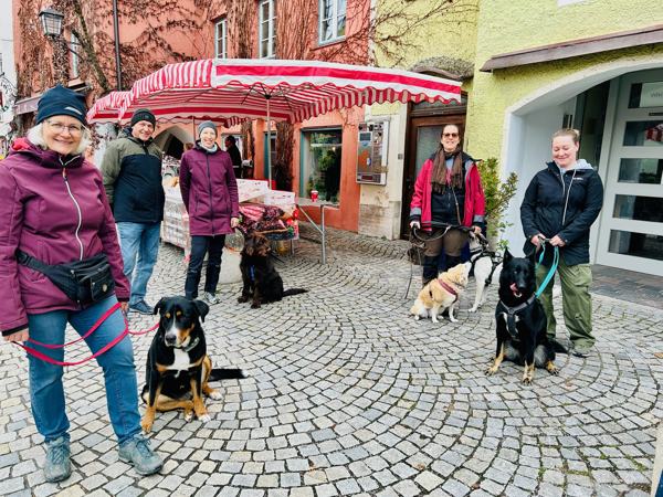 Hundegruppe in der Altstadt von Wasserburg am Inn